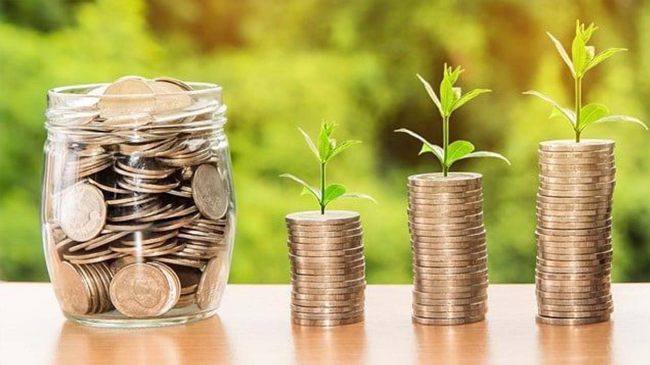 Renta fija y variable: qué las diferencia