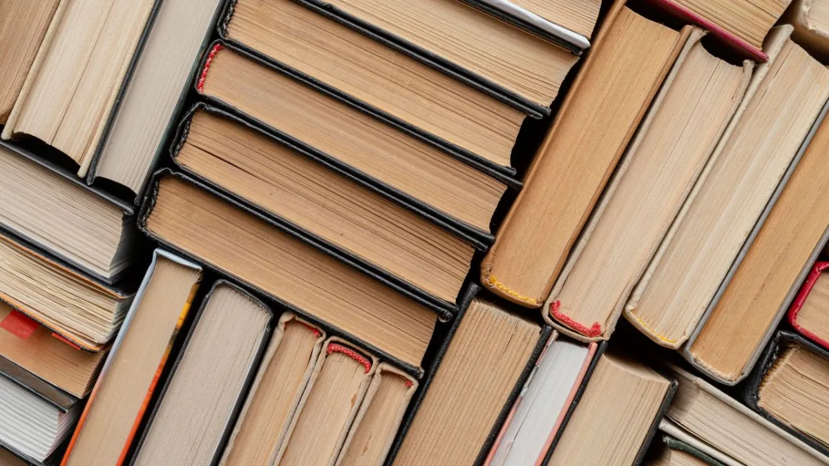 critico literario