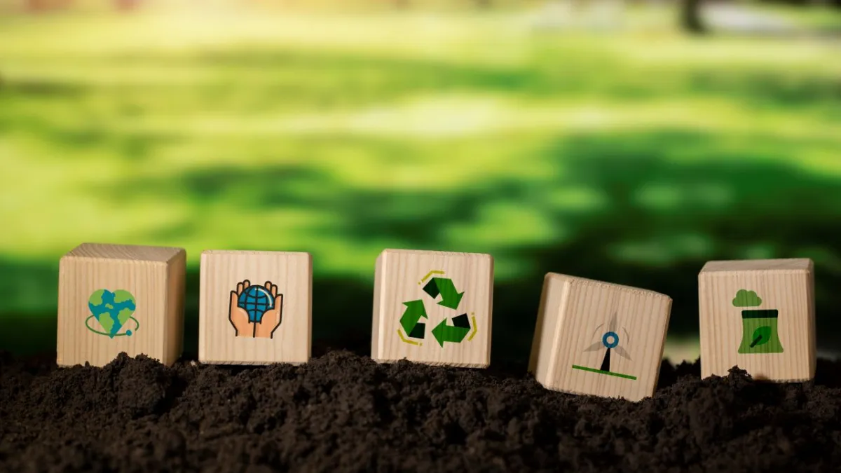 greenwashing