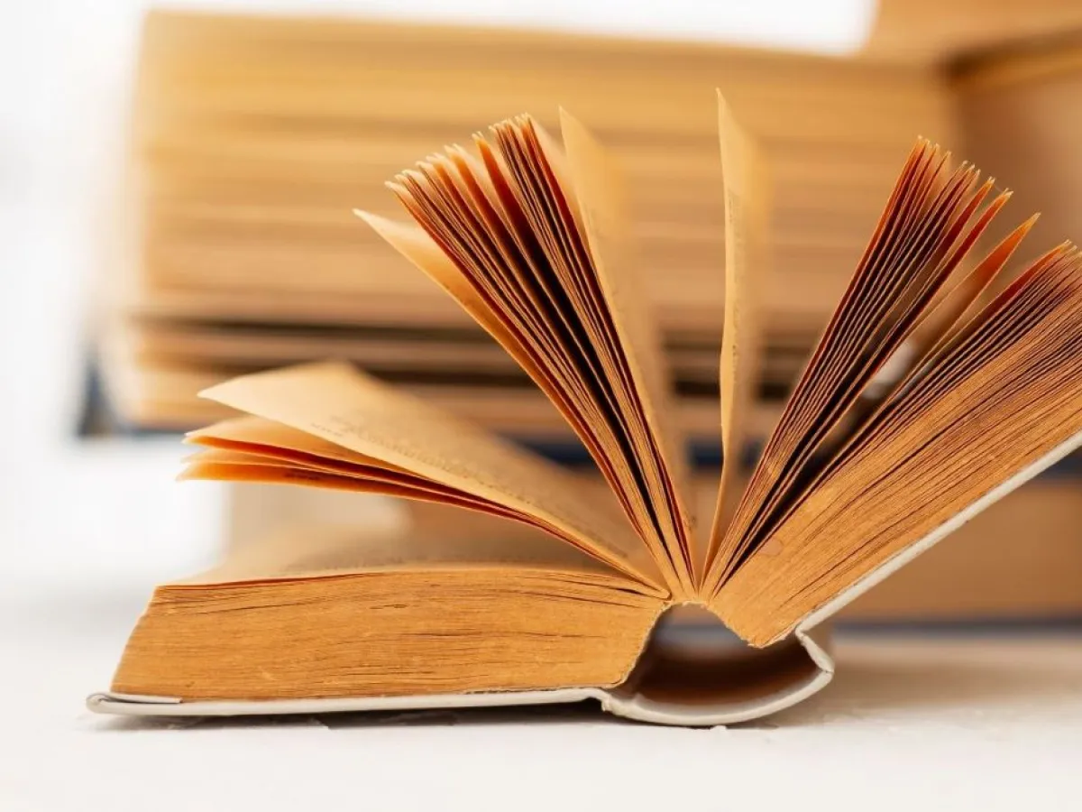 que es un bestseller