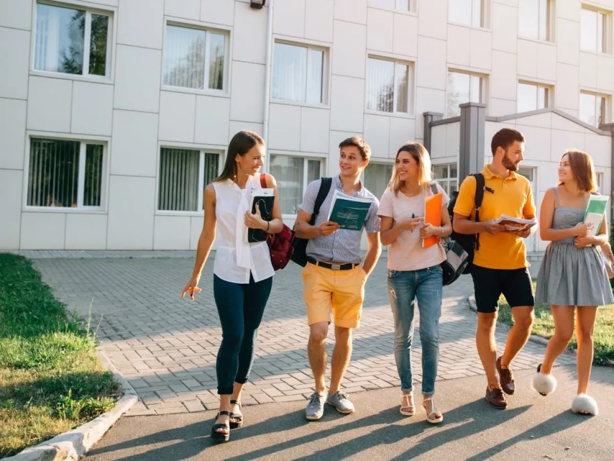 que es un experto universitario